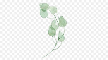 Leaf Green Watercolor painting - Watercolor leaves 