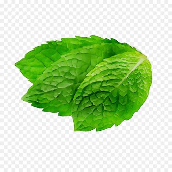 Leaf Greens -  