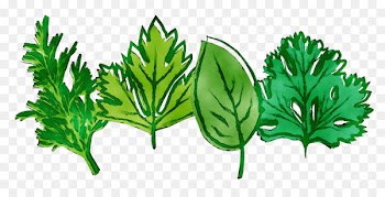 Leaf Greens Herbalism Plant stem -  