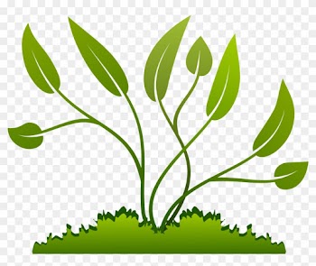 Leaf Growing Cliparts - Plants Clipart