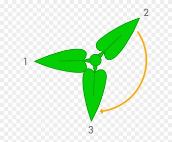 Leaf Growth - Golden Anglr