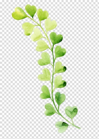 Leaf Heart Plant stem, Leaf transparent background PNG clipart
