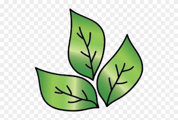 Leaf Icon - اوراق شجر كرتون
