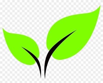 Leaf Icon - Leaf Icon Png