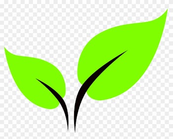 Leaf Icon - Leaf Icon Png