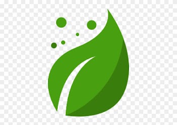Leaf Icon Png