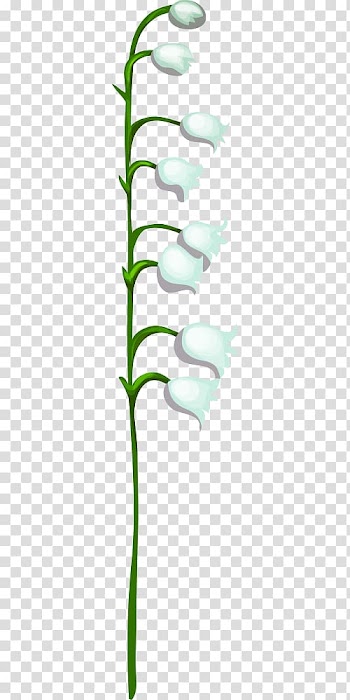 Leaf Icon, White tulips transparent background PNG clipart