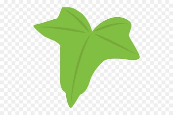 Leaf Illustration Boston ivy Clip art Plant stem -  