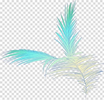 Leaf Illustration, Color coconut leaves transparent background PNG clipart