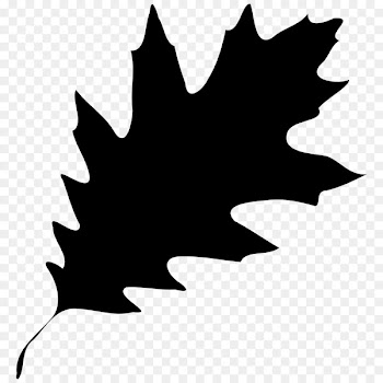Leaf Image Vector graphics Portable Network Graphics -  