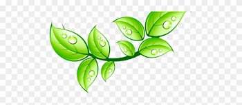 Leaf - Internet
