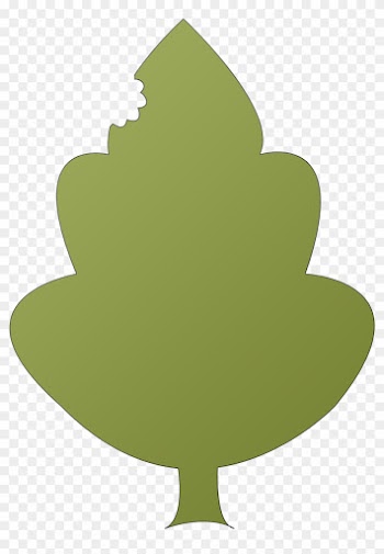 Leaf Leaf Final - Leaf