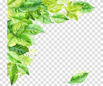 Leaf , Leaf Frame Background transparent background PNG clipart
