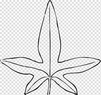 Leaf , Leaf transparent background PNG clipart