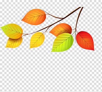 Leaf , Leaf transparent background PNG clipart