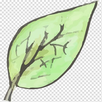 Leaf, leaf transparent background PNG clipart
