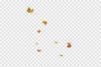 Leaf , leaf transparent background PNG clipart
