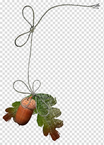 Leaf , Leaf transparent background PNG clipart