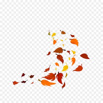 Leaf - Leaves falling in the wind 