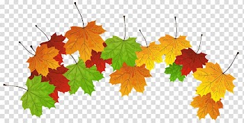 Leaf , leaves transparent background PNG clipart