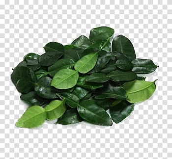 Leaf Lemon Euclidean , Lemon leaf pile material transparent background PNG clipart
