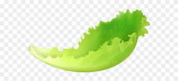 Leaf Lettuce Png Clipart - Lettuce Leaf Clipart