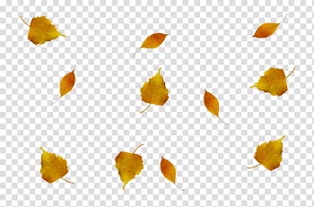 Leaf Light Autumn Vascular plant, autumn leaves transparent background PNG clipart