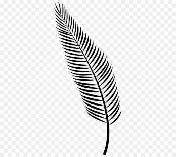 Leaf Line -  
