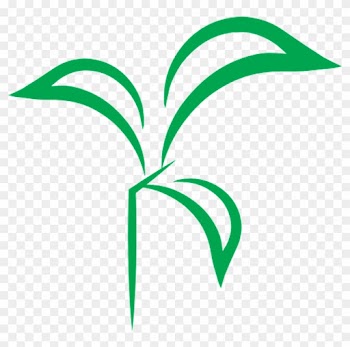Leaf Line Angle Plant Stem Clip Art - Leaf Line Angle Plant Stem Clip Art