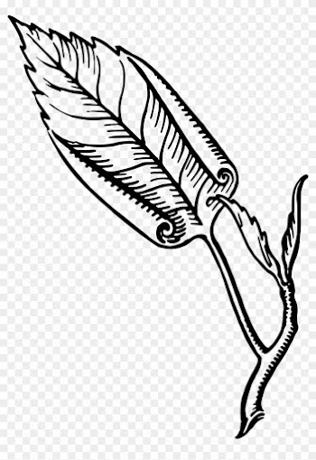 Leaf - Line Art