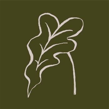 Leaf line art, aesthetic botanical | Free Photo - rawpixel