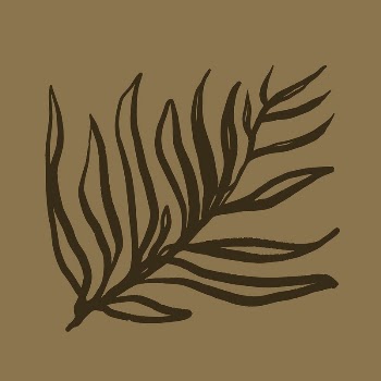 Leaf line art, aesthetic botanical | Free Photo - rawpixel
