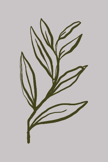 Leaf line art, aesthetic botanical | Free Photo - rawpixel
