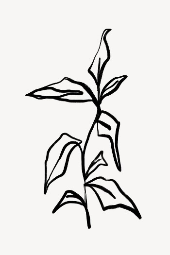 Leaf line art, Chinese brush | Free Photo - rawpixel