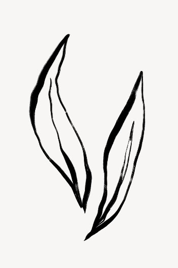 Leaf line art, Chinese brush | Free Photo - rawpixel