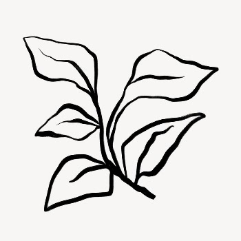 Leaf line art, Chinese brush | Free Photo - rawpixel