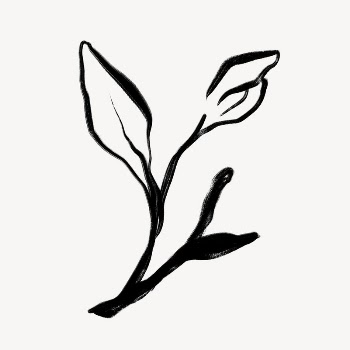 Leaf line art, Chinese brush | Free Photo - rawpixel