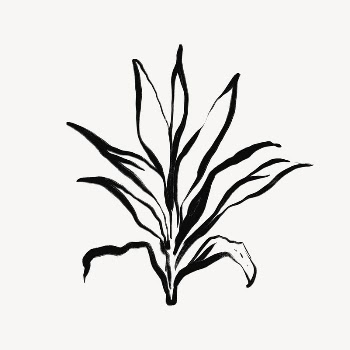 Leaf line art, Chinese brush | Free Photo - rawpixel