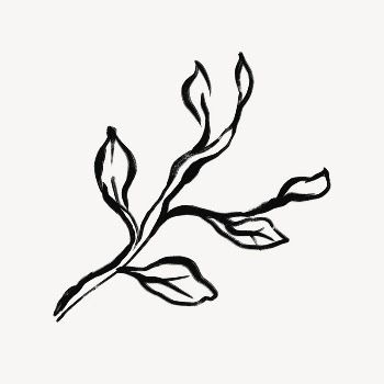 Leaf line art, Chinese brush | Free Photo - rawpixel