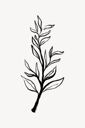 Leaf line art, Chinese brush | Free Photo - rawpixel