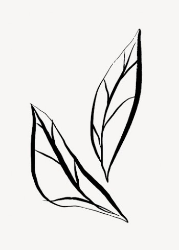 Leaf line art, Chinese brush | Free Photo - rawpixel