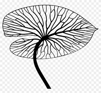 Leaf Line Art - Leaf Line Drawing
