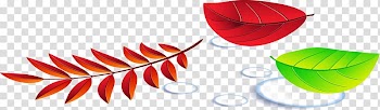 Leaf LiveInternet Diary , autumn leaves transparent background PNG clipart