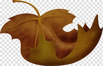 Leaf LiveInternet Diary , Leaf transparent background PNG clipart