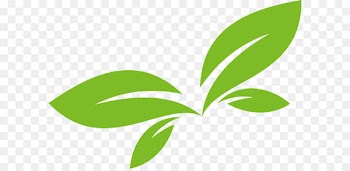 Leaf Logo Euclidean vector - Green leaf vector logo design 