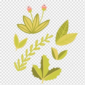 Leaf Look at Leaves Green , Leaf transparent background PNG clipart
