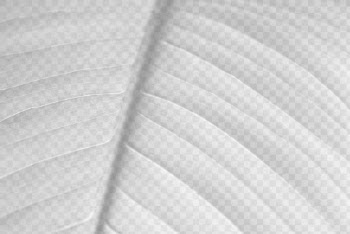 Leaf macro png overlay, abstract | Free PNG - rawpixel