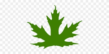 Leaf, Maple Leaf, Maple, Nature, Green - Maple Leaf Clip Art