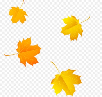 Leaf, Maple, Maple Leaf PNG