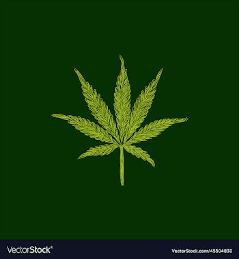 leaf marijuana creative design